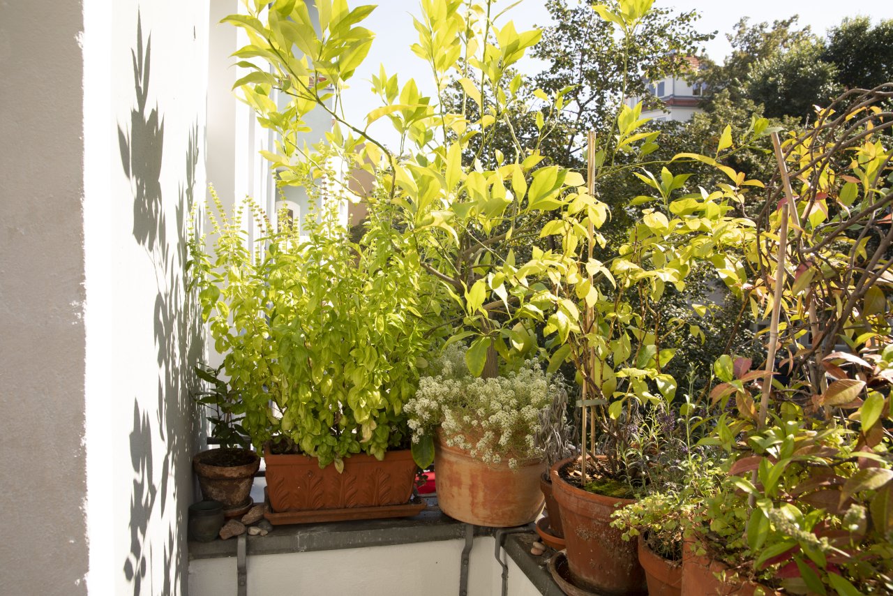 VERKAUFT + Schmuckstück in Kreuzkölln + Sonnenverwöhnte Bel Etage mit viel Altbaucharme